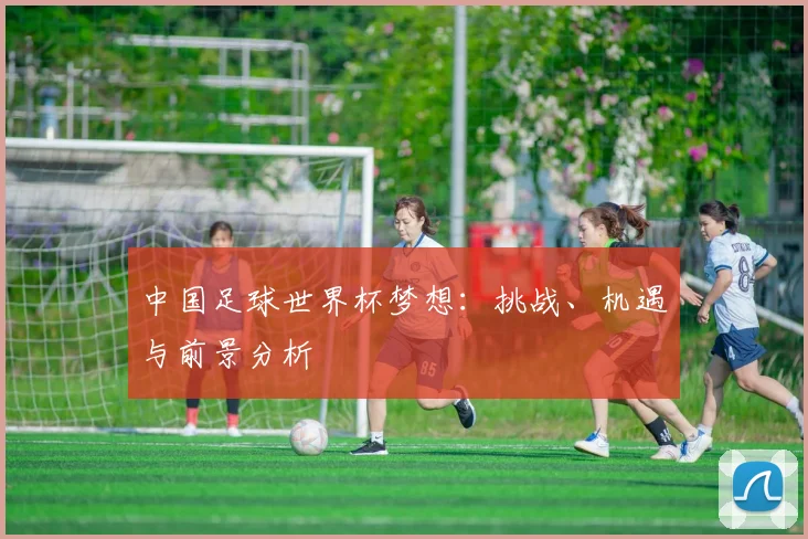 中国足球世界杯梦想：挑战、机遇与前景分析