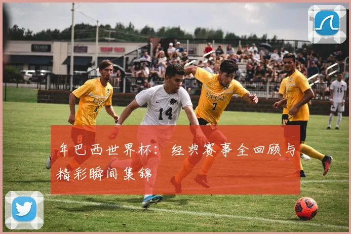 年巴西世界杯：经典赛事全回顾与精彩瞬间集锦