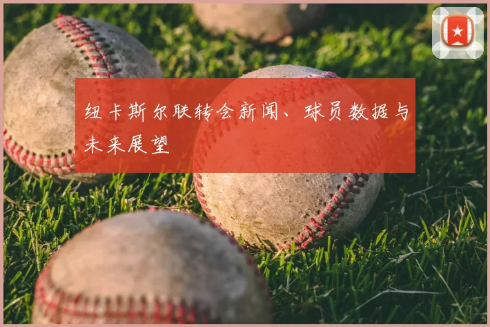 纽卡斯尔联转会新闻、球员数据与未来展望