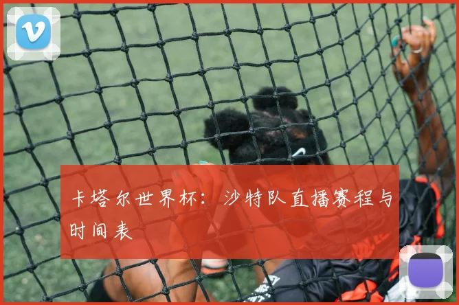 卡塔尔世界杯：沙特队直播赛程与时间表