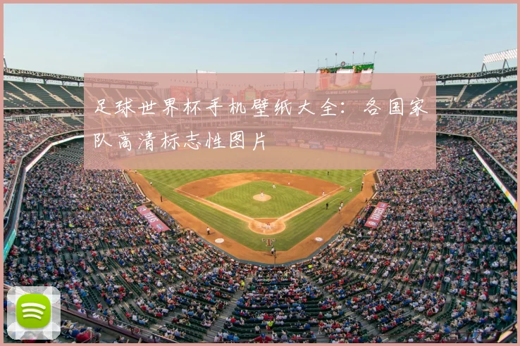 足球世界杯手机壁纸大全：各国家队高清标志性图片